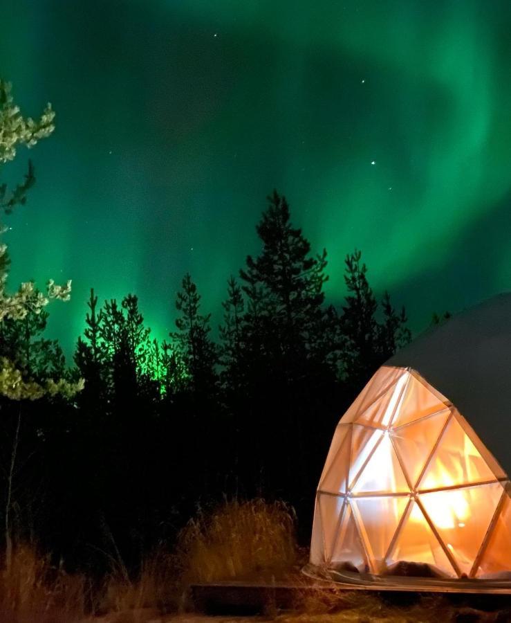 Aurora Igloo Fireplace-Heated Tents In A Secret Forest With Private Jacuzzi And Shared Sauna Bathroom And Dog Friendly روفانييمي المظهر الخارجي الصورة