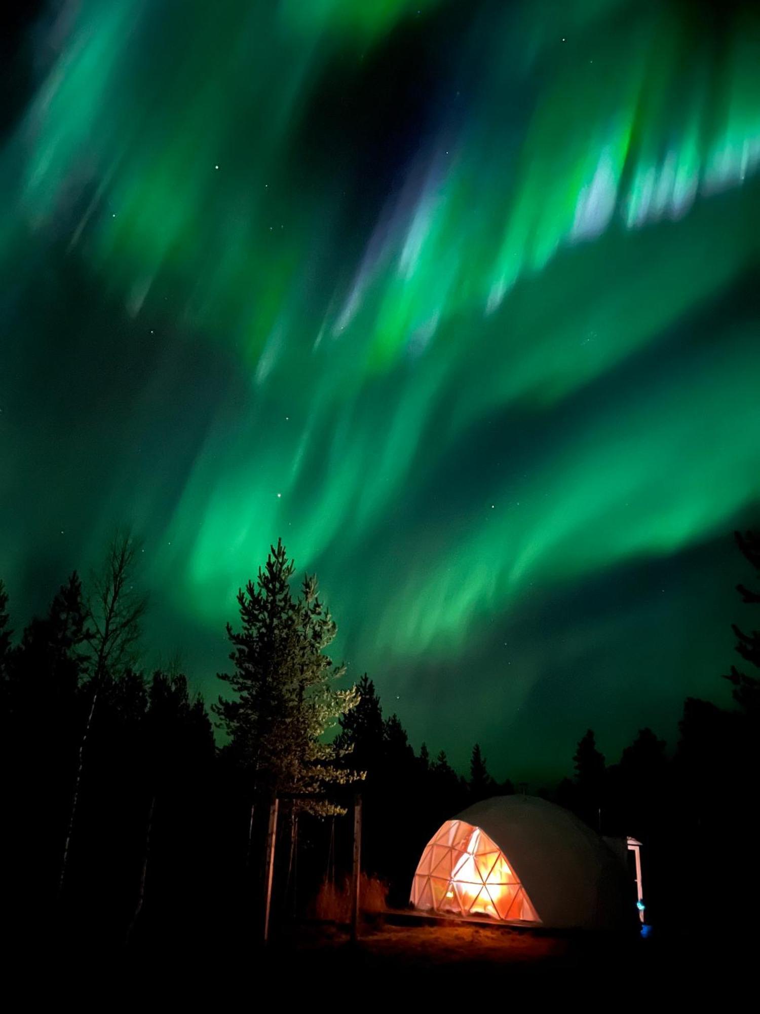 Aurora Igloo Fireplace-Heated Tents In A Secret Forest With Private Jacuzzi And Shared Sauna Bathroom And Dog Friendly روفانييمي المظهر الخارجي الصورة